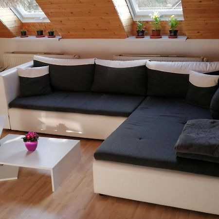 Wohnung Auerand Nienhagen Екстериор снимка